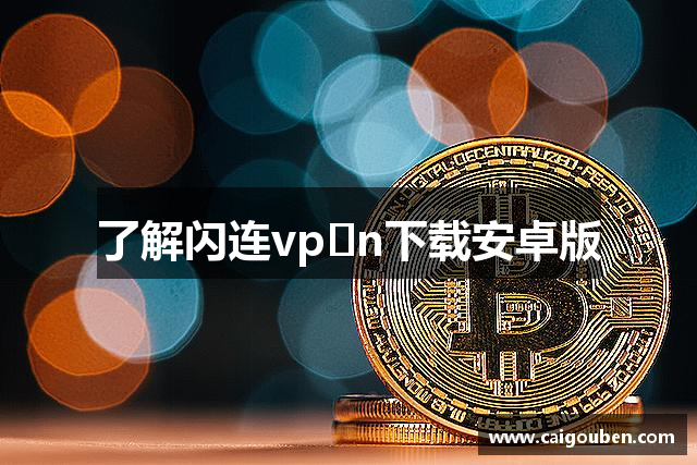 了解闪连vp n下载安卓版